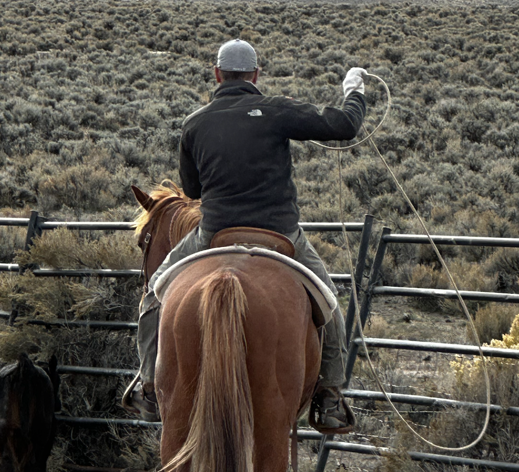 Dan Yturriondobeitia